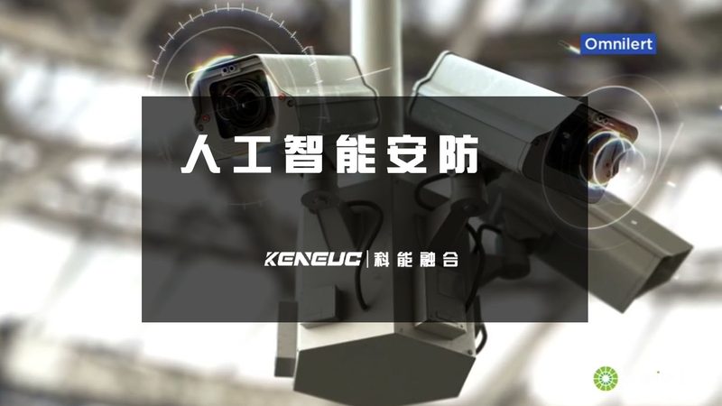 电商推荐算法定制服务：精准匹配，驱动增长新引擎