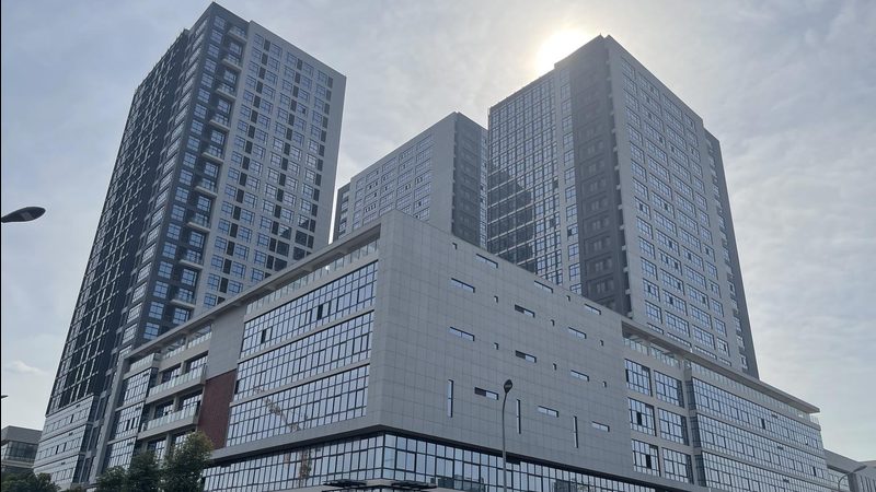 智能算法批发：揭秘其优缺点与适用场景