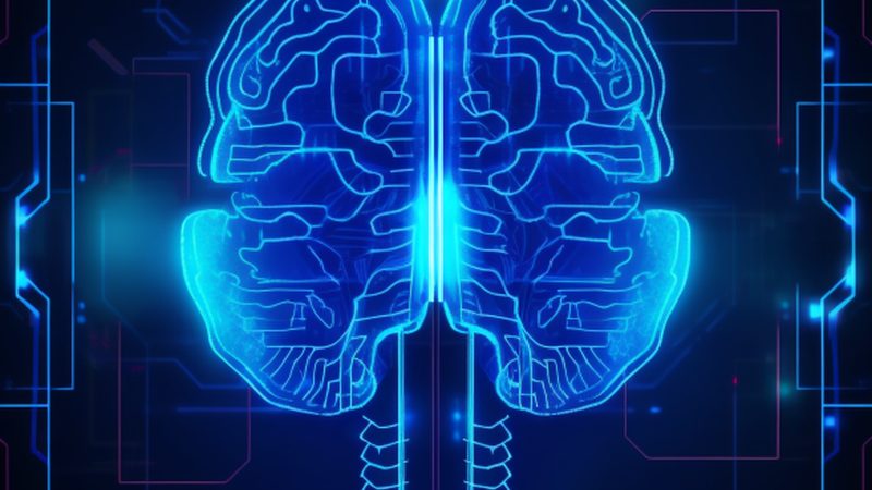 计算机视觉模型训练框架：选择背后的逻辑**